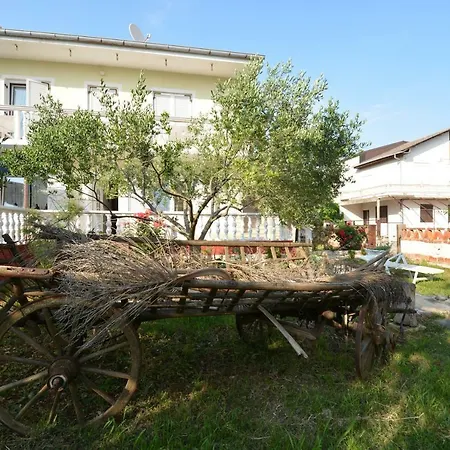 Bandira